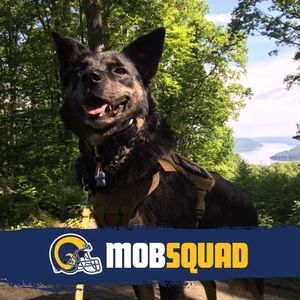 Meet your Posher, Jon